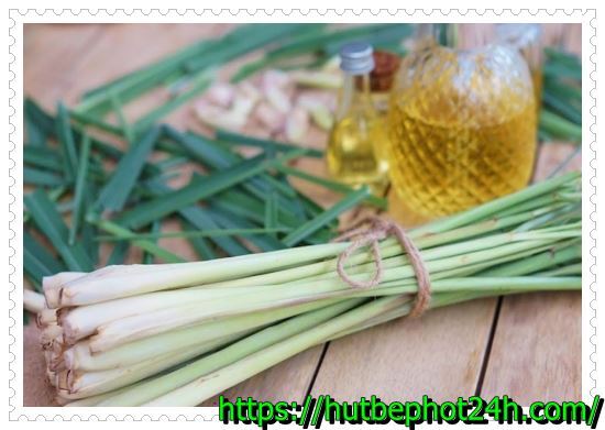 Khử m&ugrave;i h&ocirc;i thối trong nh&agrave; vệ sinh bằng sả