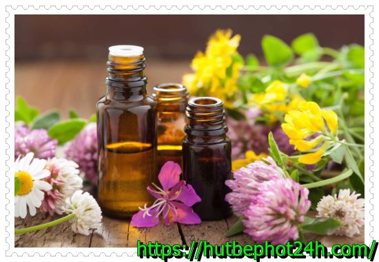 Khử m&ugrave;i h&ocirc;i bằng nước hoa