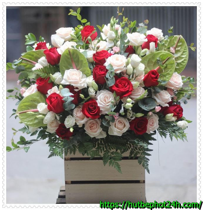 Đặt chậu c&acirc;y trong ph&ograve;ng vệ sinh để khử m&ugrave;i h&ocirc;i