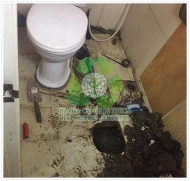 Tiêu chuẩn chuyên nghiệp trong lĩnh vực hút hầm cầu tại TPHCM.