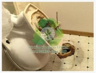 Công ty thông cống nghẹt quận 5 chuyên nghiệp