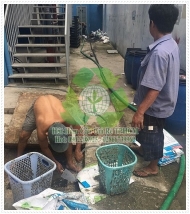  Dịch vụ hút hầm cầu quận 2 giá rẻ nhất Hotline: 090 220 8925